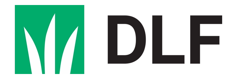 DLF